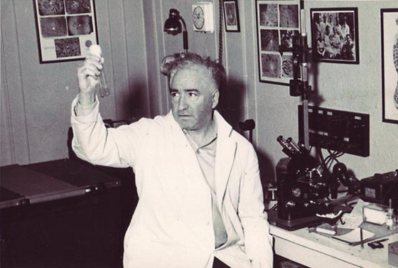 Wilhelm Reich