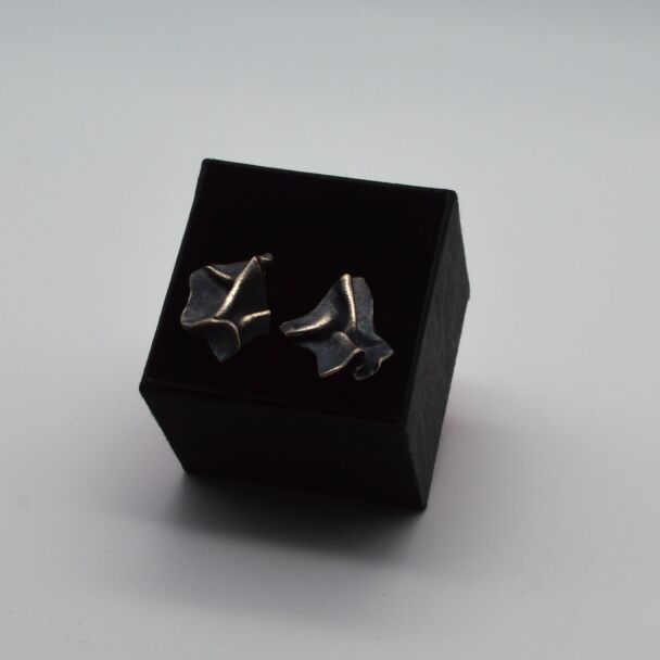 Silver earrings